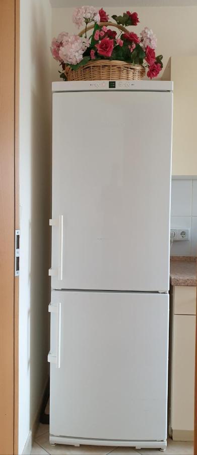 Ferienwohnung Maria - Bad Kissingen Esterno foto