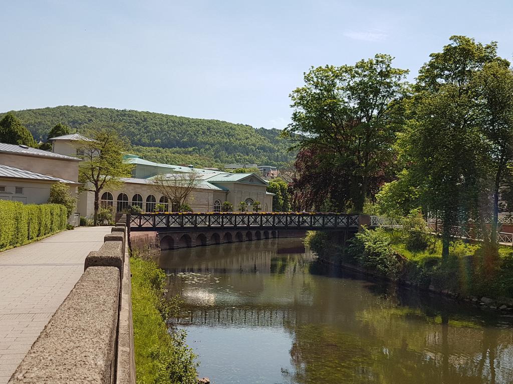 Ferienwohnung Maria - Bad Kissingen Esterno foto